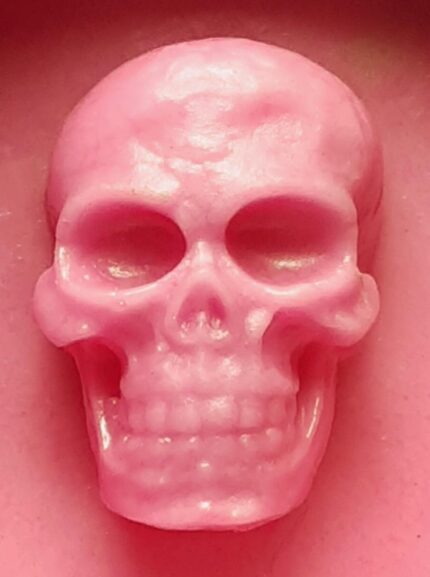 Molde Silicone Modelo Caveira